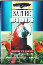 Watch PBS Nature - Extraordinary Birds Movie2k