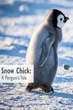 Watch Snow Chick: A Penguin's Tale Movie2k