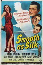 Watch Smooth as Silk Movie2k