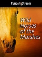 Watch Wild Horses of the Marshes Movie2k