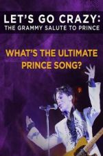 Watch Let\'s Go Crazy: The Grammy Salute to Prince Movie2k