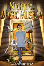 Watch Night At The Magic Museum Movie2k