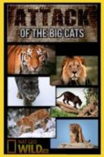 Watch National Geographic Attack Of The Big Cats Movie2k