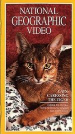 Watch Cats: Caressing the Tiger Movie2k