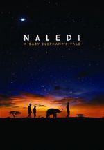 Watch Naledi: A Baby Elephant\'s Tale Movie2k