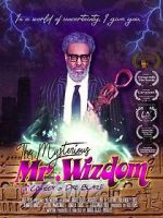 Watch The Mysterious Mr. Wizdom Movie2k