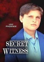 Watch Secret Witness Movie2k