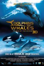 Watch Dolphins and Whales 3D Tribes of the Ocean Movie2k