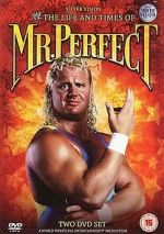 Watch The Life and Times of Mr. Perfect Movie2k