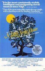 Watch A Little Night Music Movie2k