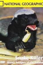 Watch National Geographic: Snake Killers Honey Badgers Of The Kalahari Movie2k