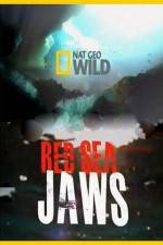 Watch National Geographic Red Sea Jaws Movie2k