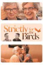 Watch Strictly for the Birds Movie2k