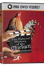 Watch The Natural History of the Chicken Movie2k