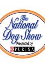 Watch National Dog Show Movie2k