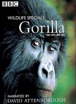 Watch Gorilla Revisited with David Attenborough Movie2k