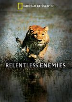 Watch Relentless Enemies Movie2k