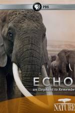 Watch Echo: An Elephant to Remember Movie2k