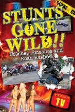 Watch Stunts Gone Wild: Crashes, Smashes & Road Rashes! Movie2k