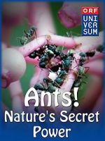 Watch Ants: Nature\'s Secret Power Movie2k