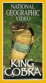 Watch King Cobra Movie2k