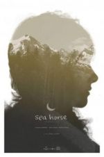 Watch Sea Horse Movie2k