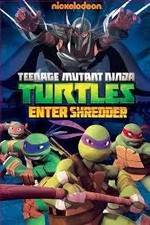 Watch Teenage Mutant Ninja Turtles: Enter Shredder Movie2k