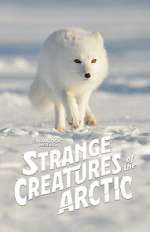 Watch Strange Creatures of the Arctic (TV Special 2022) Movie2k