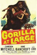 Watch Gorilla at Large Movie2k