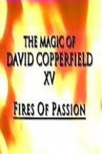 Watch The Magic of David Copperfield XV Fires of Passion Movie2k