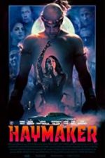 Watch Haymaker Movie2k