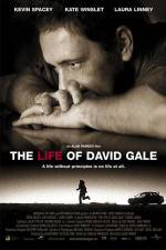 Watch The Life of David Gale Movie2k