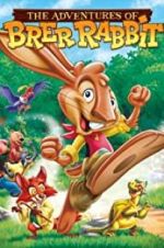 Watch The Adventures of Brer Rabbit Movie2k