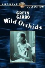 Watch Wild Orchids Movie2k