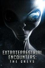 Watch Extraterrestrial Encounters: The Greys Movie2k