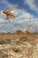 Watch Swarm Chasers: Locusts Movie2k