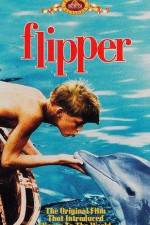 Watch Flipper Movie2k