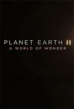 Watch Planet Earth II: A World of Wonder Movie2k