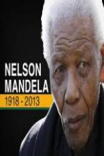 Watch Nelson Mandela: The Final Chapter Movie2k