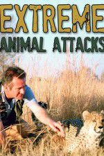 Watch Extreme Animal Attacks Movie2k