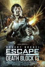 Watch Escape from Death Block 13 Movie2k