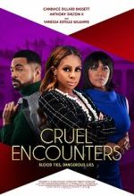 Watch Cruel Encounters Movie2k
