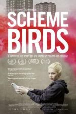 Watch Scheme Birds Movie2k