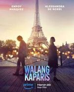 Watch Nothing Like Paris Movie2k