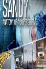 Watch Sandy Anatomy Of A Superstorm Movie2k