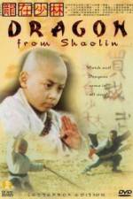 Watch Long zai Shaolin Movie2k