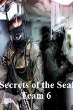 Watch Discovery Channel Secrets of Seal Team 6 Movie2k