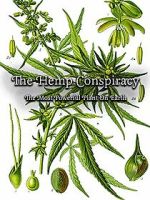Watch The Hemp Conspiracy: The Most Powerful Plant in the World (Short 2017) Movie2k