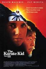 Watch The Karate Kid, Part III Movie2k