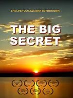 Watch The Big Secret Movie2k